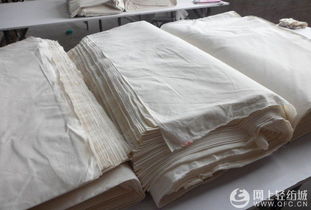 吳江市震洲噴氣織造廠