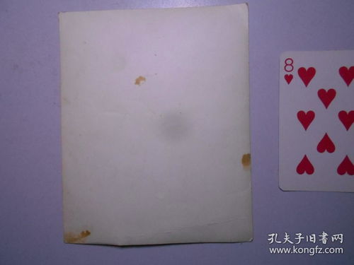 老照片 中央 紡織工業部 輕工業部 地方工業部 商業部 日用工業品質量展覽會 針棉織組全體合影 1956年 攝于北京 附三張有關合影